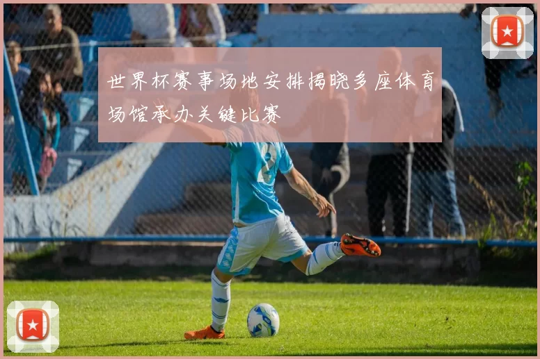 世界杯赛事场地安排揭晓多座体育场馆承办关键比赛