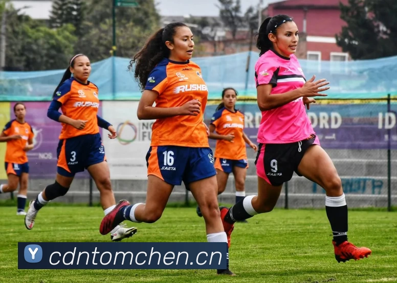 九游娱乐(NineGameSports)官方网站 - 九游引领娱乐潮流平台生态图